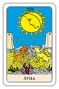 Der Narr Tarot - Psychologisches Transformationsspiel (78 Karten)