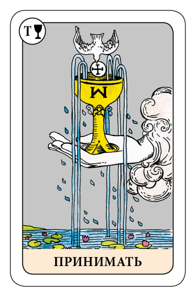Der Narr Tarot - Psychologisches Transformationsspiel (78 Karten)