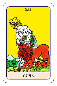 Der Narr Tarot - Psychologisches Transformationsspiel (78 Karten)