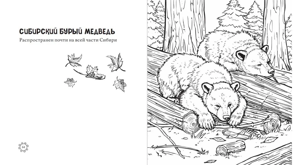 Žavingi Rusijos atspalviai. Švelnumo ir grožio puslapiai
