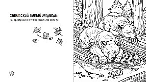 Žavingi Rusijos atspalviai. Švelnumo ir grožio puslapiai