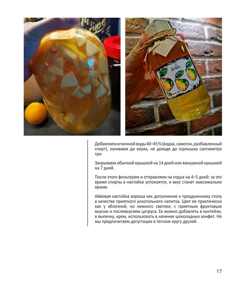 PRO Tinkturen. Leckere Getränke selbst gemacht von gutem John