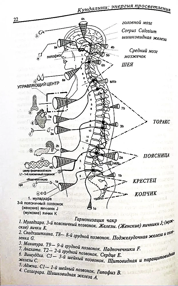Kundalini: Valgustuse energia