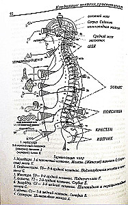 Kundalini: Valgustuse energia