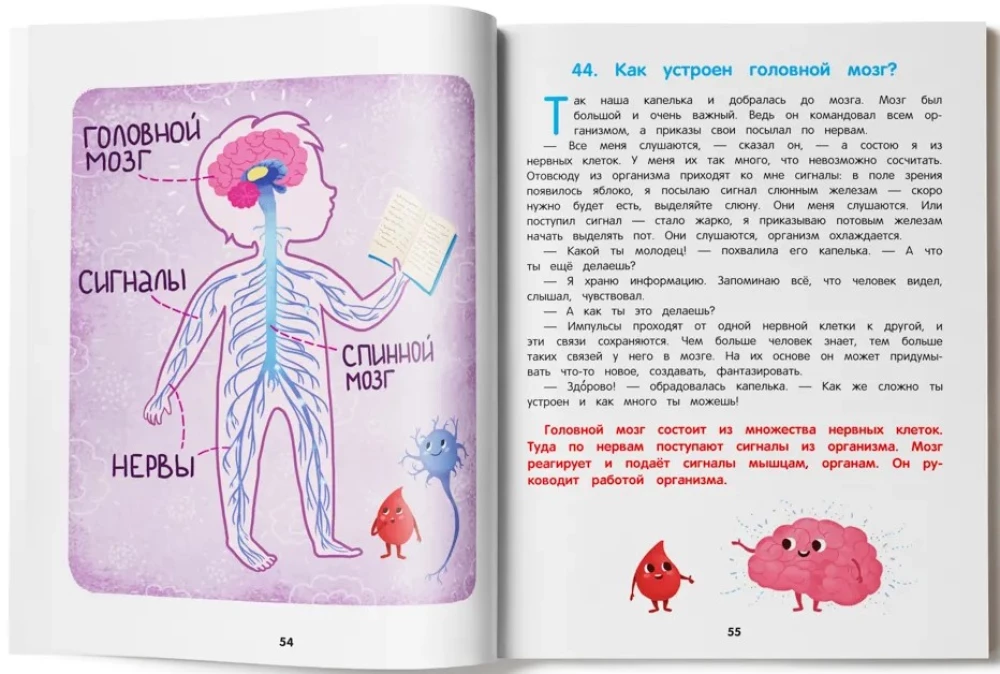 Jak działa człowiek. Encyklopedia dla maluchów w bajkach