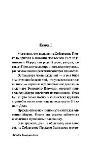 Vana Metsa Müsteerium