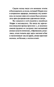 Vana Metsa Müsteerium