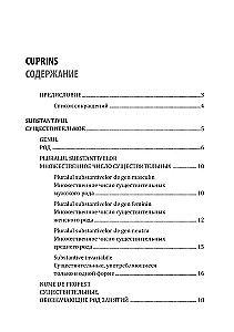Rumänische Sprache. Sammlung von Grammatikübungen
