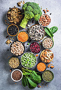 Recipes for a Resourceful, Quality, and Healthy Life. Civilization of Khamilia