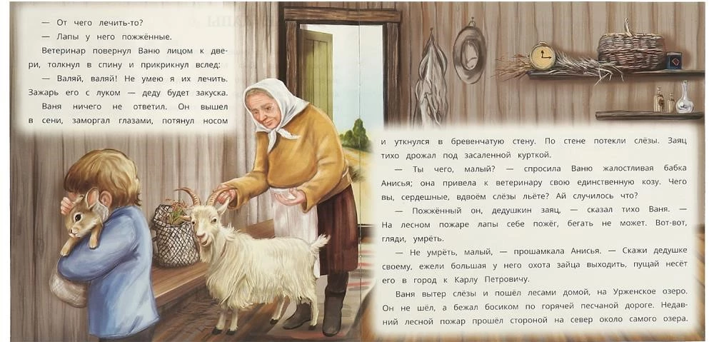 Zające łapy