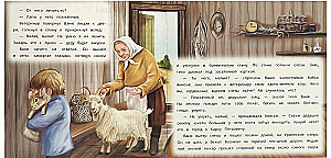 Zające łapy