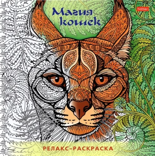 Раскраска Релакс Магия кошек
