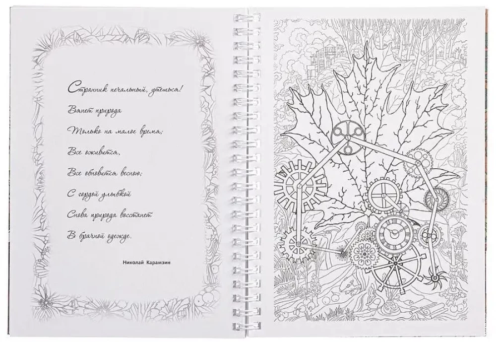 Wielka książka do kolorowania - Obrazy - fantazje w stylu steampunk