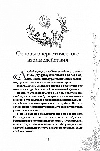 Das Handbuch der Waldhexe