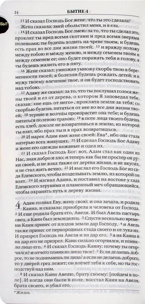 Bibel