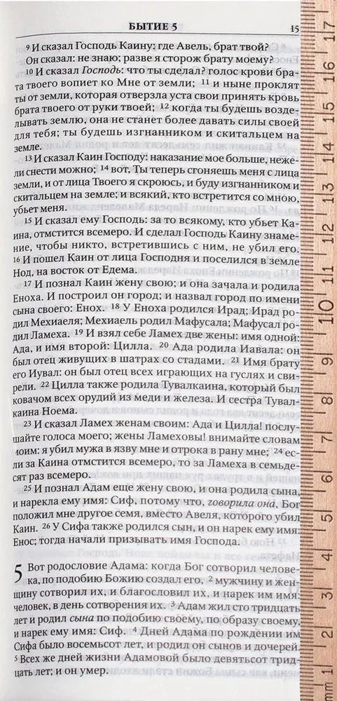 Bibel