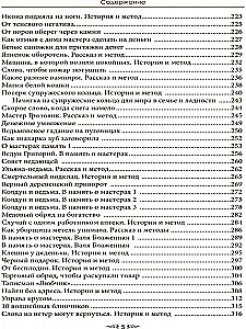 Specjalny przypadek. Epilog. Książka 4