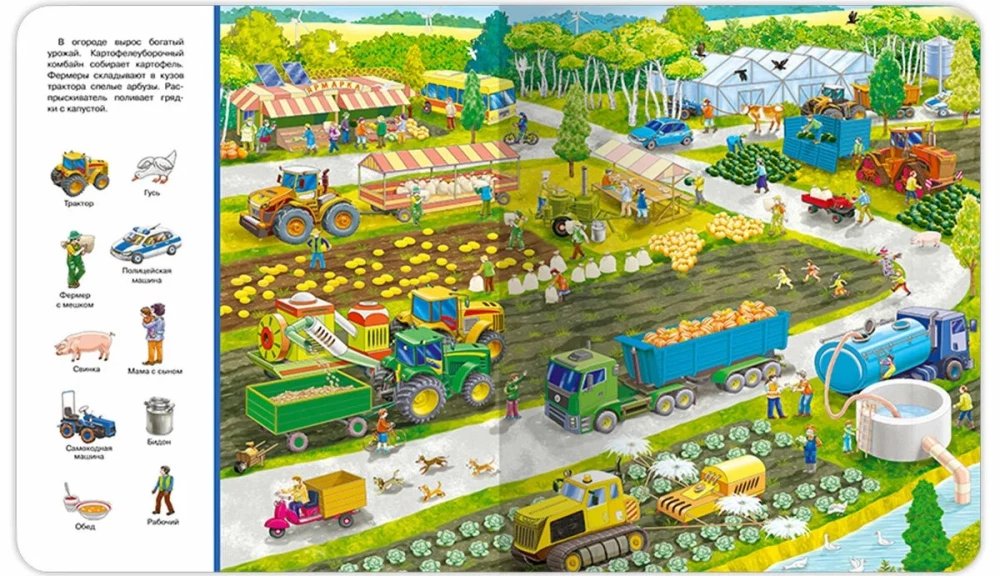 Find and Show. Farm