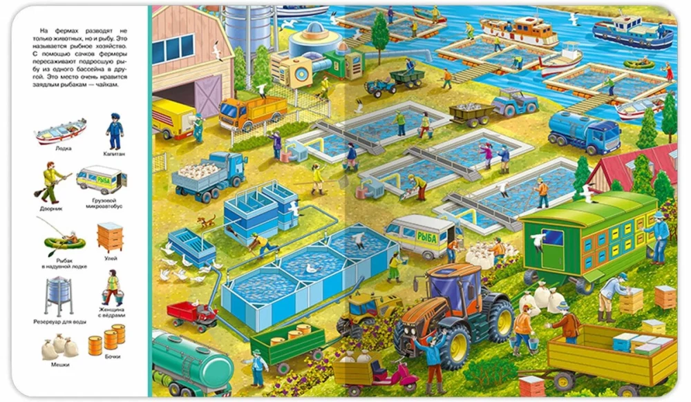 Find and Show. Farm