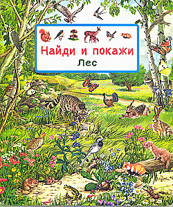 Find and Show. Forest