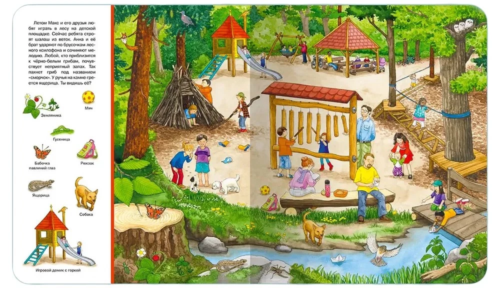 Find and Show. Forest