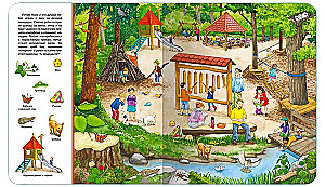 Find and Show. Forest