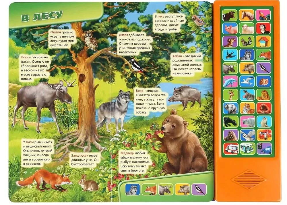 Świat wokół nas