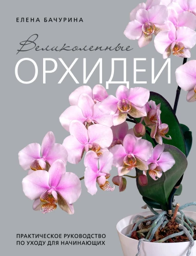 Nuostabios orchidėjos. Praktinis vadovas pradedantiesiems