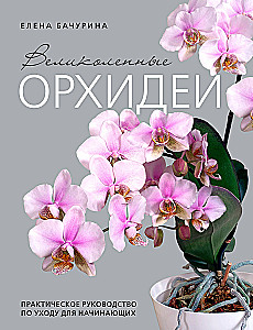 Nuostabios orchidėjos. Praktinis vadovas pradedantiesiems