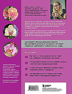 Nuostabios orchidėjos. Praktinis vadovas pradedantiesiems