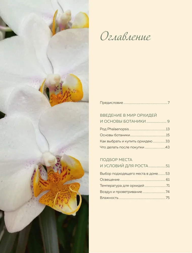 Nuostabios orchidėjos. Praktinis vadovas pradedantiesiems