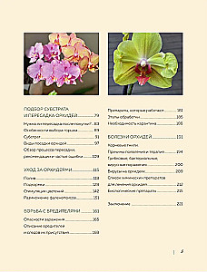 Nuostabios orchidėjos. Praktinis vadovas pradedantiesiems