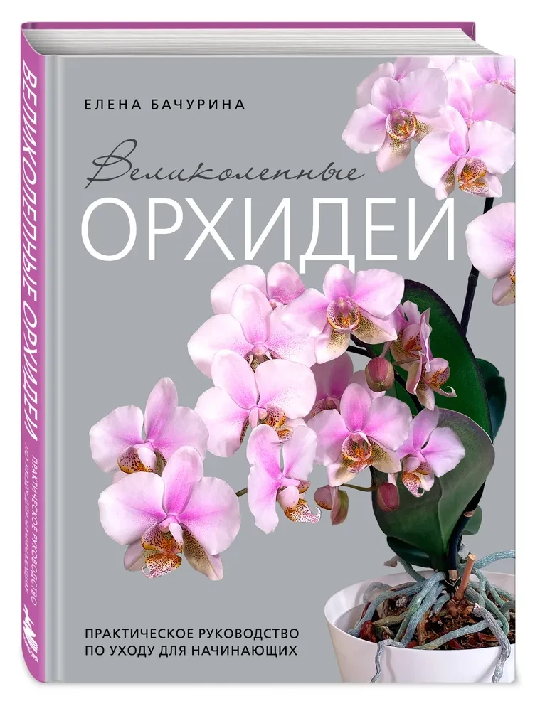 Nuostabios orchidėjos. Praktinis vadovas pradedantiesiems