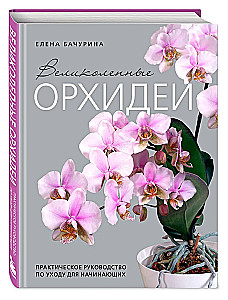Nuostabios orchidėjos. Praktinis vadovas pradedantiesiems