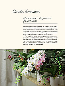 Nuostabios orchidėjos. Praktinis vadovas pradedantiesiems