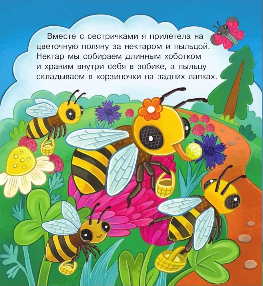 W gościnie u pszczółki Żuży