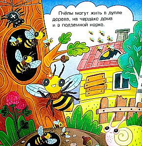 W gościnie u pszczółki Żuży