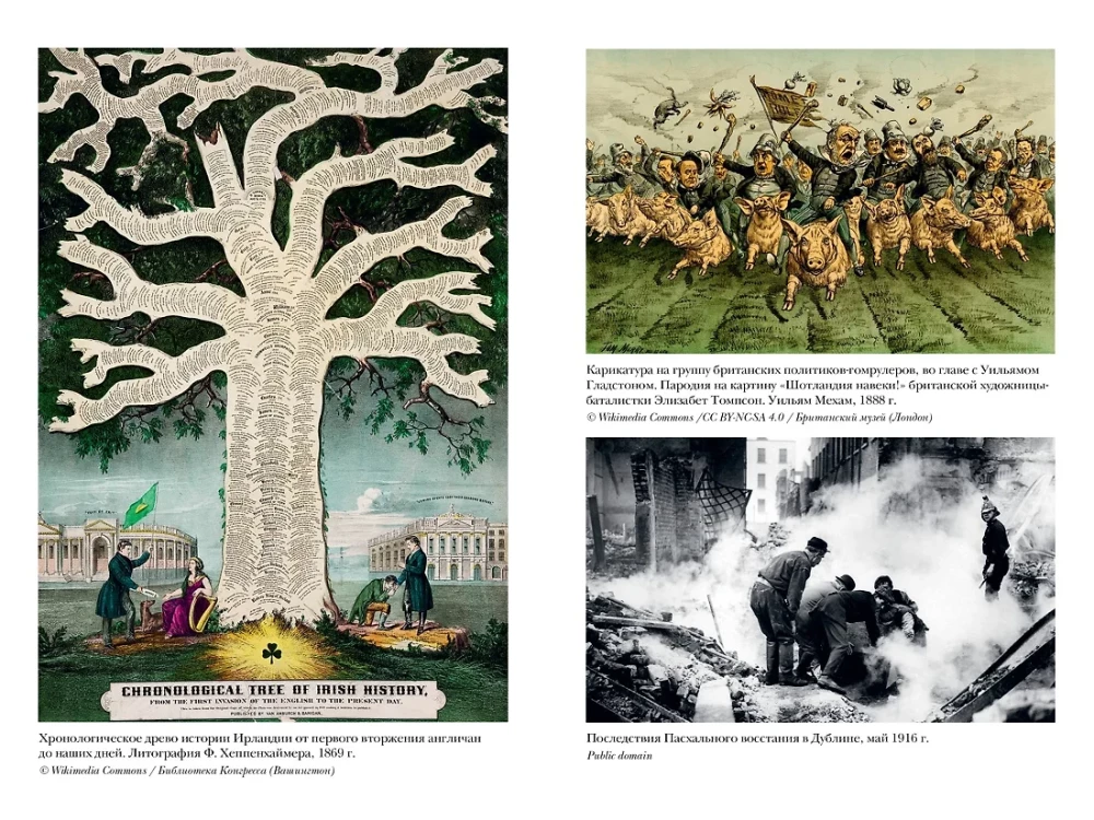 Krótka historia Irlandii