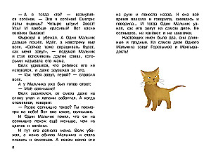 Apie Vieną Berniuką