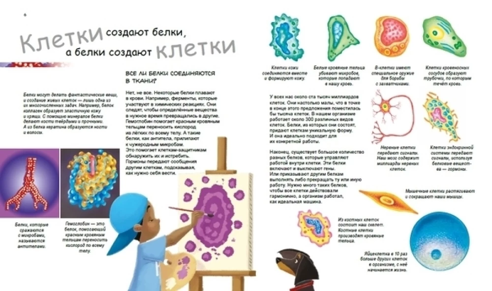X i Y, dziewczynka czy chłopiec?