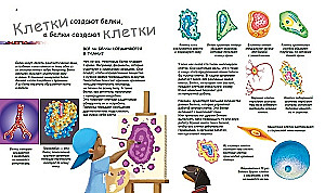 X i Y, dziewczynka czy chłopiec?