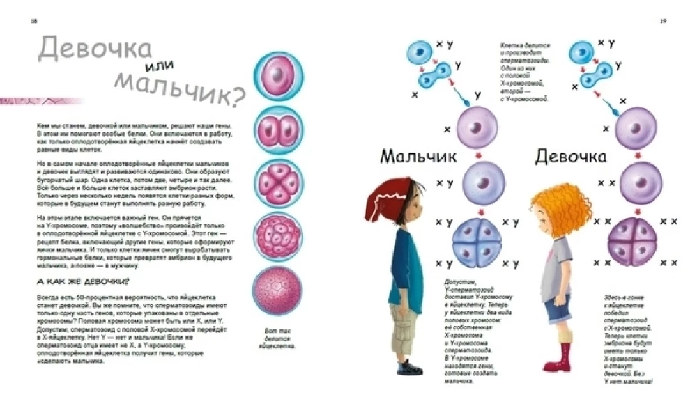 X i Y, dziewczynka czy chłopiec?