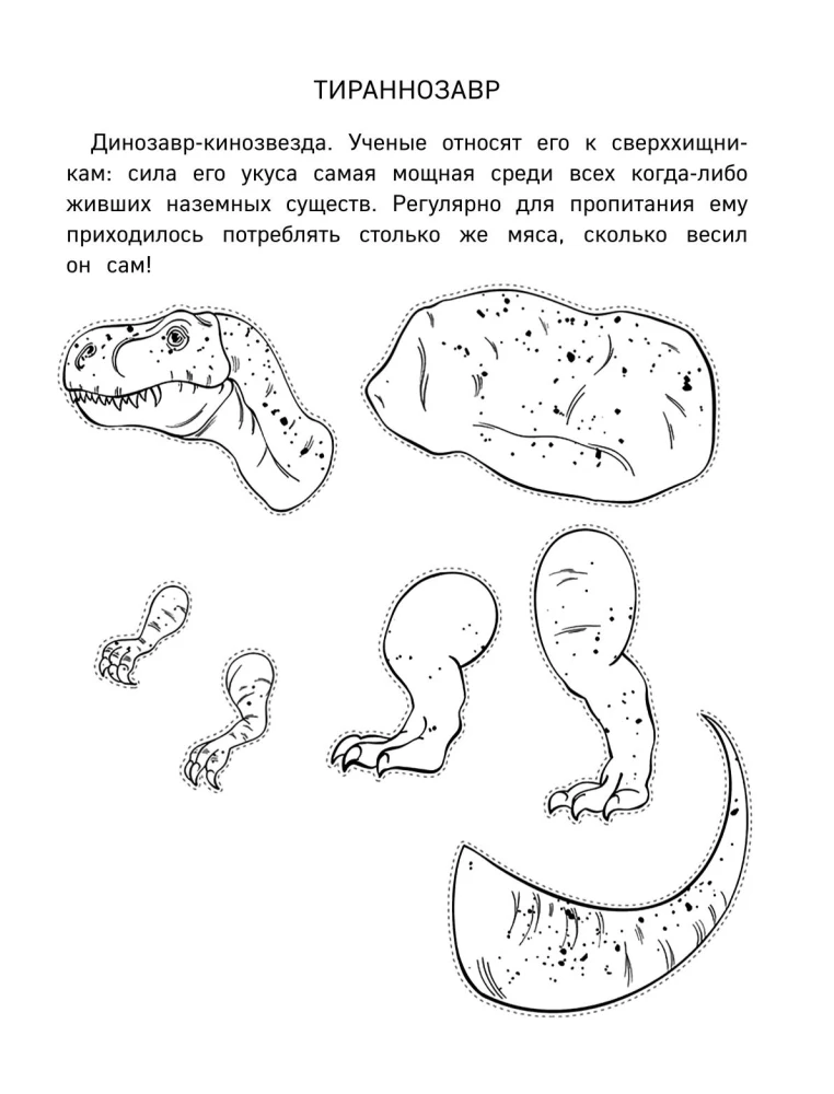 Papier-Dinosaurier. Ausschneiden, Ausmalen, Spielen. 12 fertige Modelle