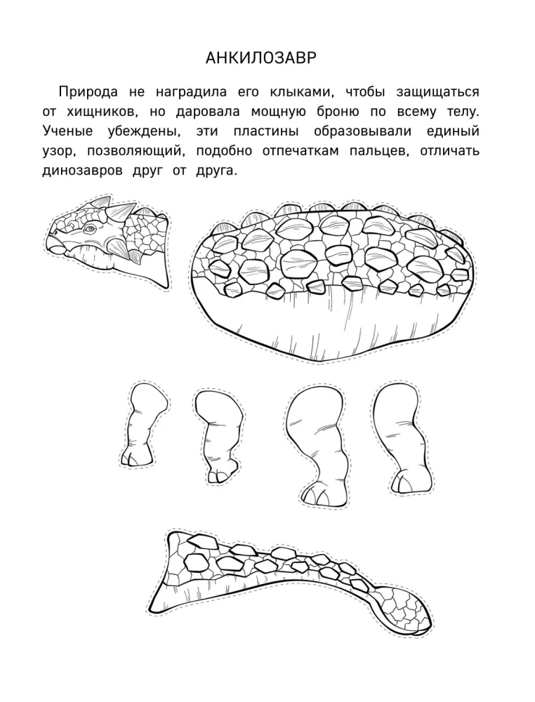 Papier-Dinosaurier. Ausschneiden, Ausmalen, Spielen. 12 fertige Modelle