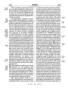 Orthodoxe Bibel. Großformat, große Schrift