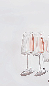 Prosecco. Wein mit sprudelnder Stimmung
