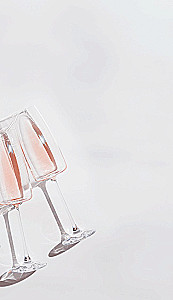 Prosecco. Wein mit sprudelnder Stimmung