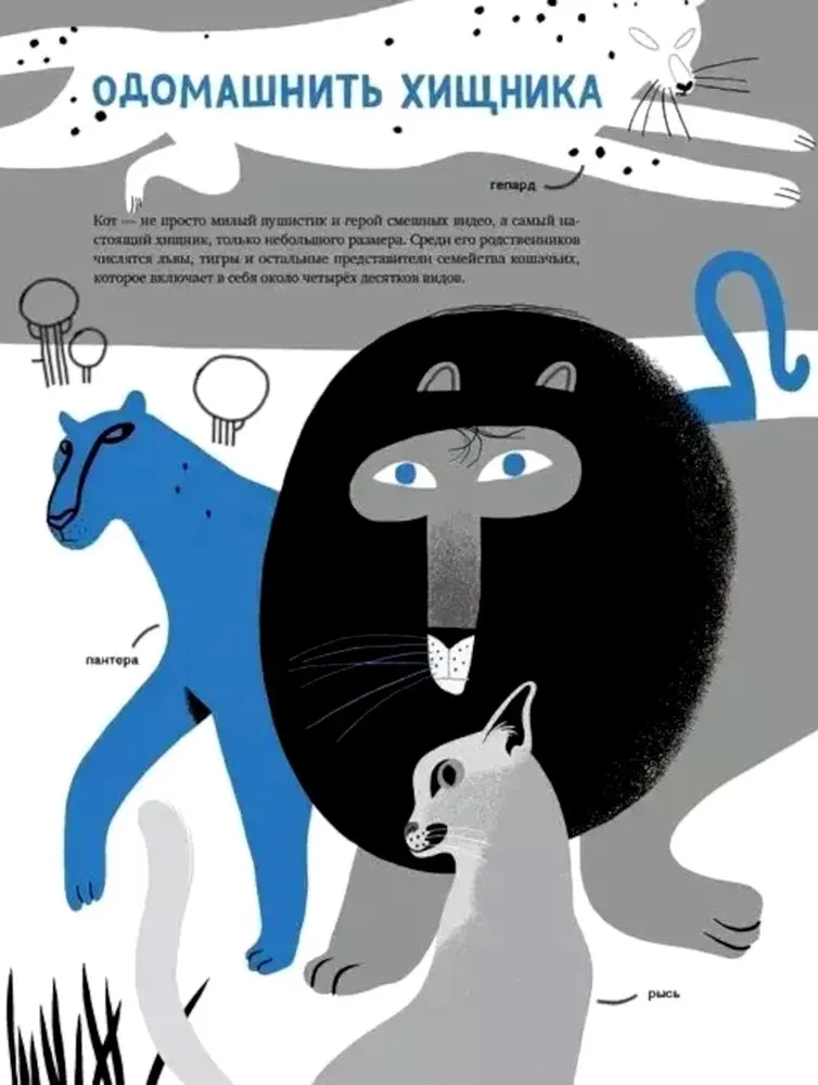 Your Cats