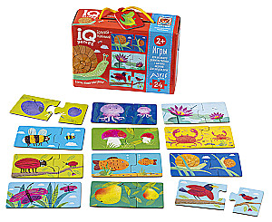 IQ-Spiele für die Kleinsten. Paare. Groß-klein. 2+. Sprachförderung