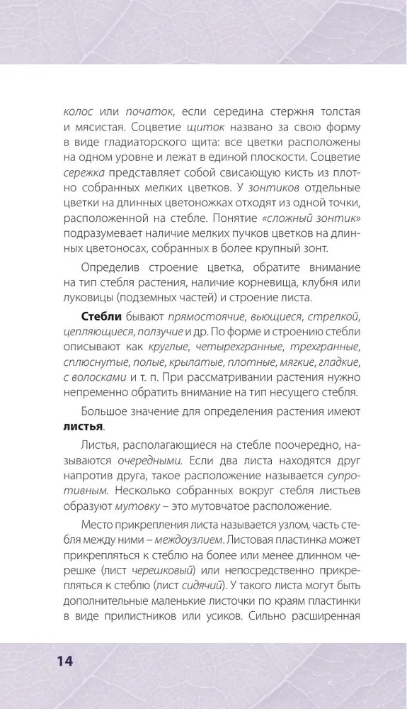 Rośliny lecznicze. Ilustrowany przewodnik-rozpoznawacz